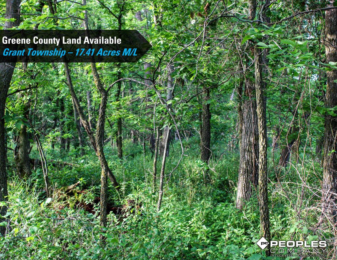 Listing Photo: Greene-Co-Rec-Land-17-Acres-19560 (17)